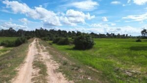 Can Foreigners Own Land In Cambodia? The Facts Explained