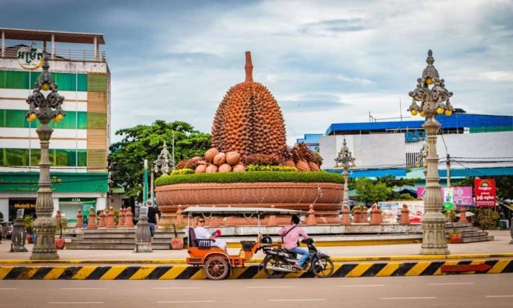 Kampot-Durian-Rond-Point.jpg